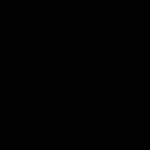 Meet your Posher, Stein